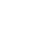 Sunfire-Icon-Negativ_Biomass_source